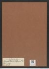 Amphitetras elegans Grev. (de-Toni-Nr.: Genus 137, Species 3638) Zeichnungen Sammlung Grunow Mappe 03779 (Herbarium_W_Grunow_drawings_Folder_03779)